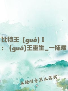 比特王國(guó)Ⅰ: 國(guó)王重生